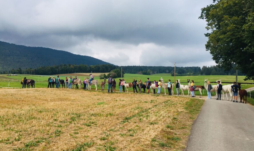 Lama-Esel-Trekking im KUW