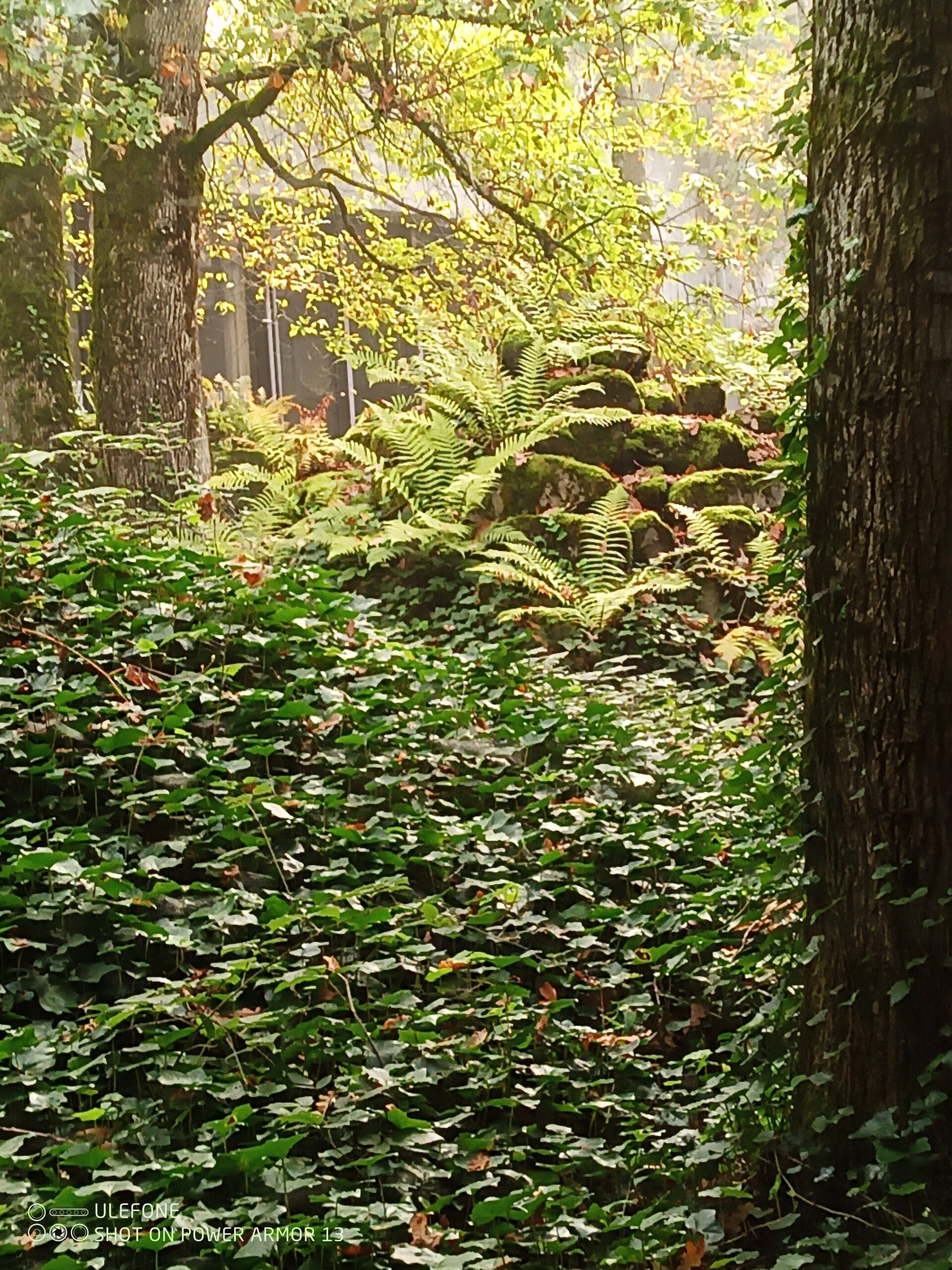 Das Paradies hinter dem Glas – Reformierte Kirchgemeinde Nidau