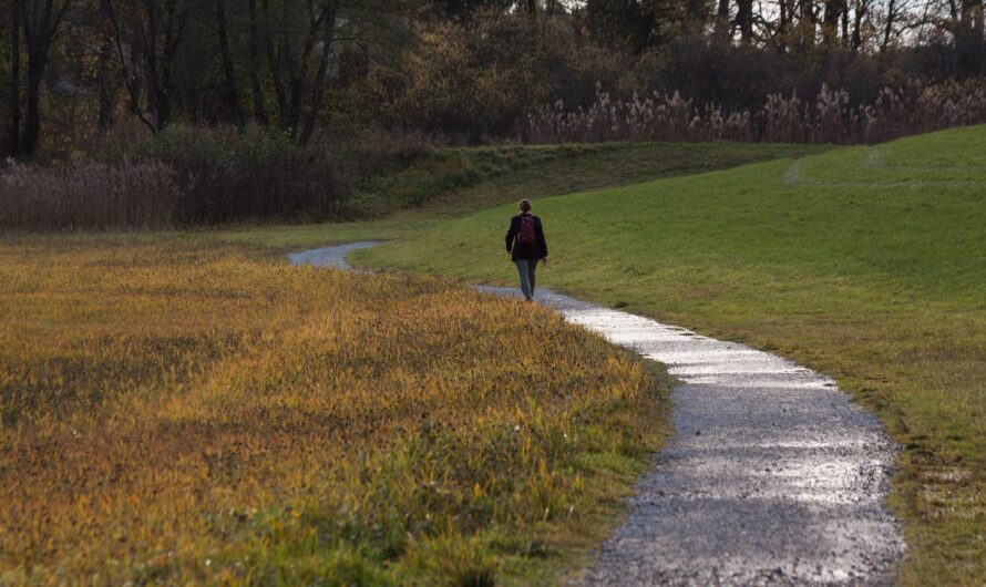 Einen Spaziergang buchen?